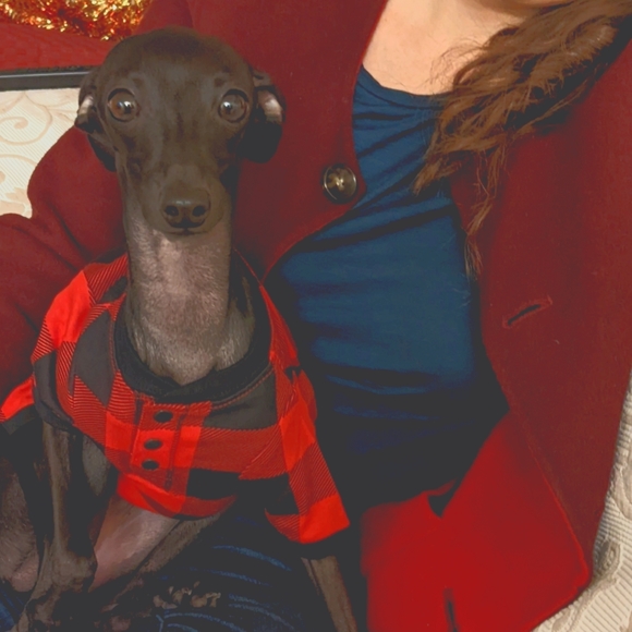 Profits will be donated to charities ❤️ - Picture 1 of 1